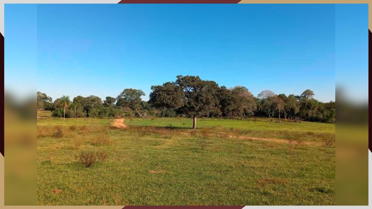 Parte de Uma Gleba Rural - 304 hectares e 290m², terras pastais e lavradias, Fazenda Barreiro Preto - Caracol/MS