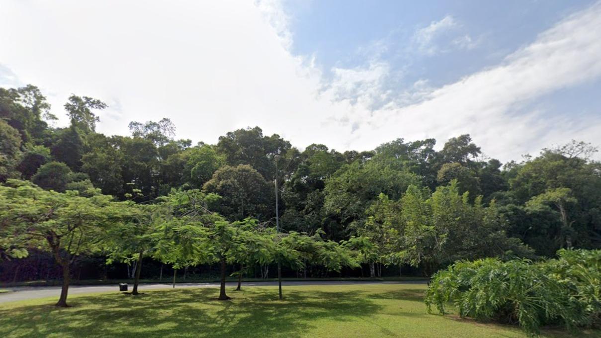 Terreno com área superficial de 19.144,19m² em Bracui (cunhambebe) - Angra dos Reis/RJ