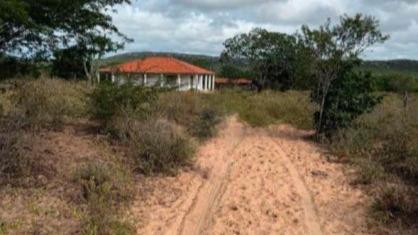 Fazenda Pitombeira com 133 hectares ou faixa de 400 tarefas - Santa Brigida/BA