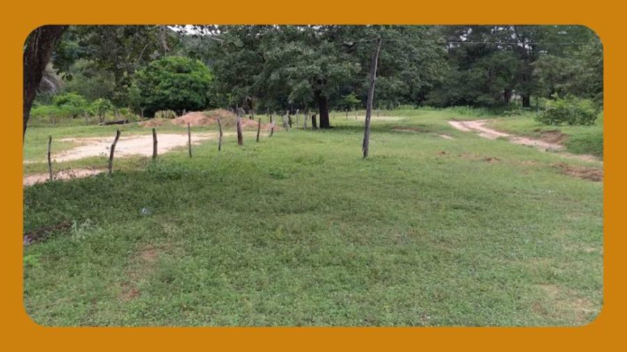 Sensacional - Gleba Rural com 420,00 hectares - Fazenda Larga - Distrito de São Joaquim - Januária/MG