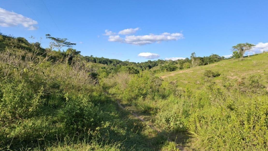 Excelente - Fazenda com Área de 201ha - Denominado Conjunto Belo Horizonte - Zona da Palmeira - Aiquiara/BA