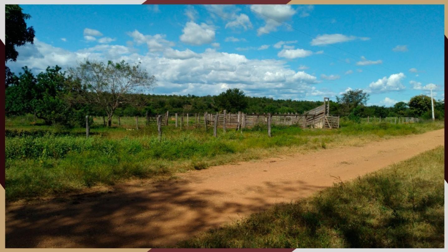 Ótimo Investimento - Fazenda Irapuã com área de 1.876,00 hectares - Situada no Lugar Tabocal - Santa Rita de Cassia/BA