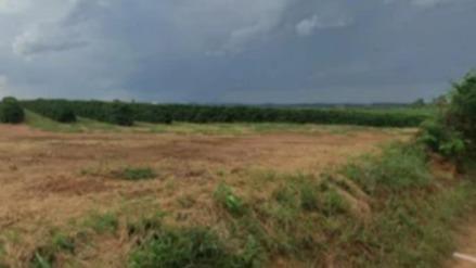 Oportunidade-Fazenda com 252 hectares em Ibiá (MG). Fazenda Boa Vista Terra de cultura, 15.000 pés de Café e etc...