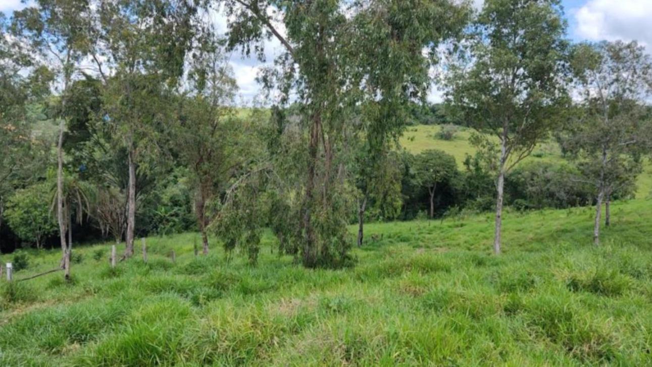 Terreno com área total de 21.100,00 m², entre os bairros Jardim Califórnia e Parque das Colinas. Três Corações/MG