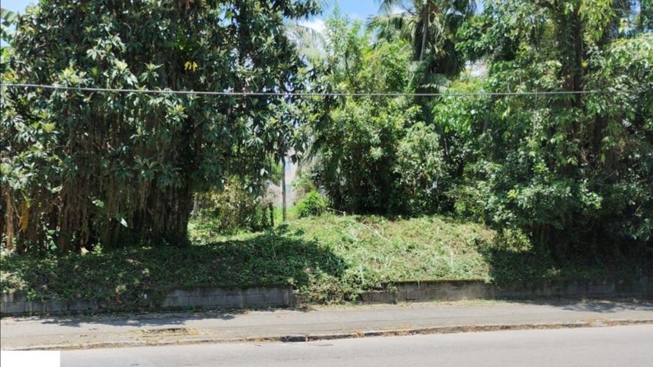 Terreno com área de 21.658,87m2 - Bairro Padre Marinho Stein - Timbó/SC