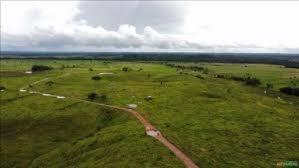 Fazenda Maracati com 4.137 hectares - Viseu/PA