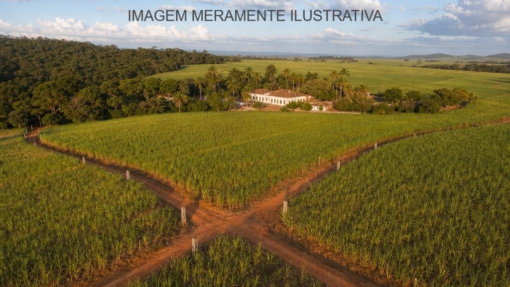 Engenho Santa Rita, 162 HA, Cabo de Santo Agostinho, PE