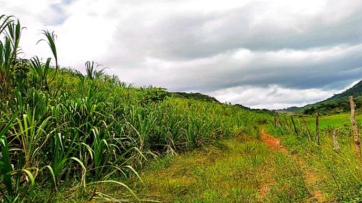 Engenho Santa Rita, 162 HA, Cabo de Santo Agostinho, PE