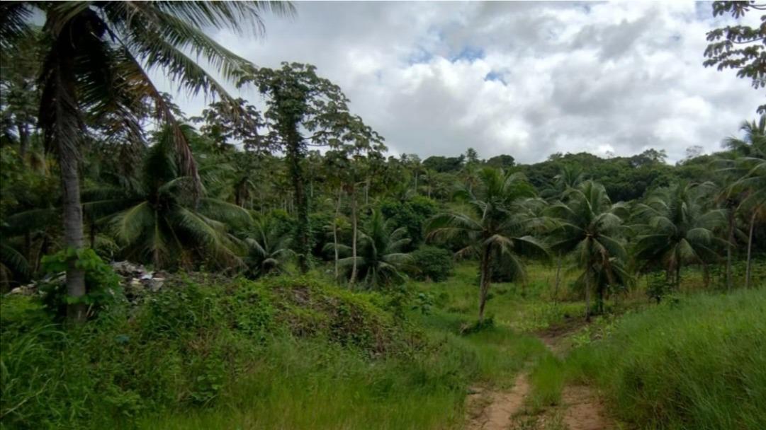 Parte de terras próprias desmembrada da propriedade " Fazenda Mangabeira"