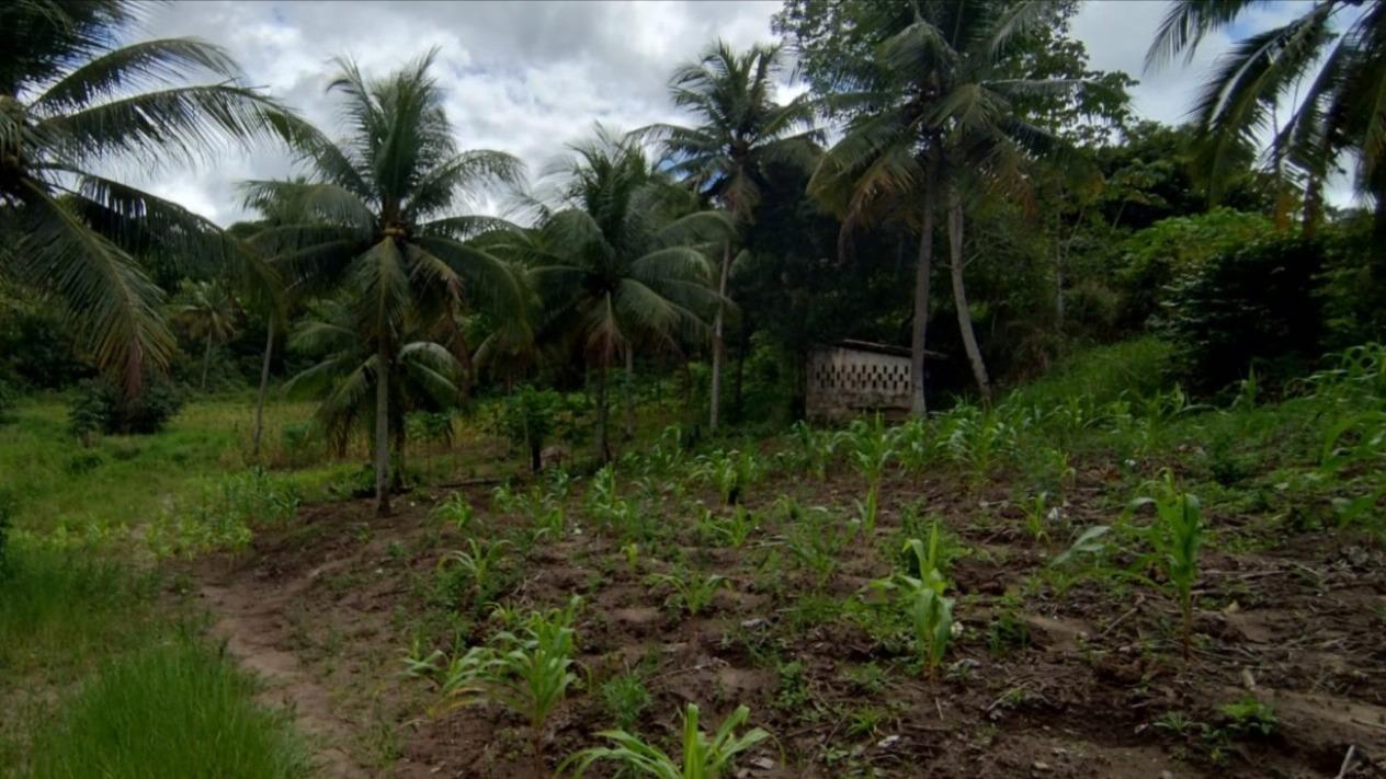 Parte de terras próprias desmembrada da propriedade " Fazenda Mangabeira"
